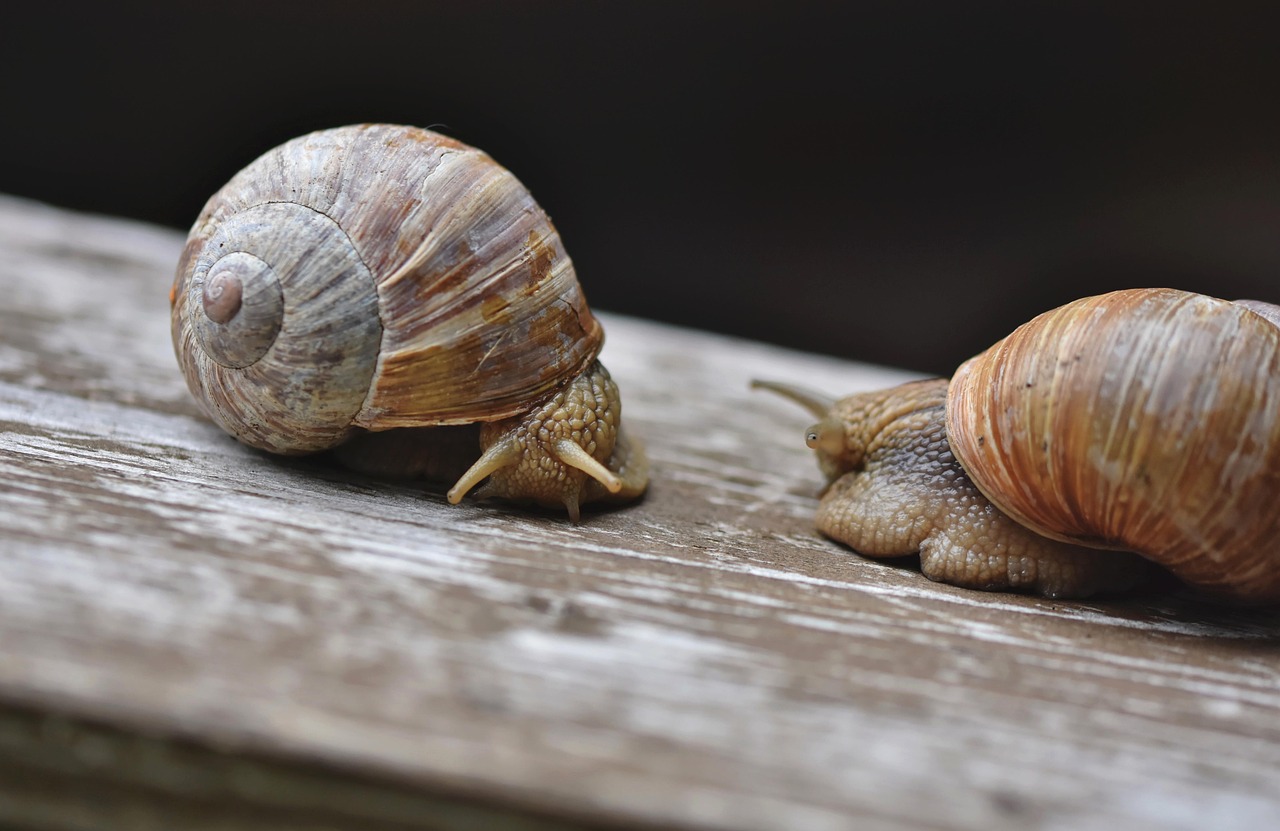 Warum ist Slow Fashion der neue Trend?