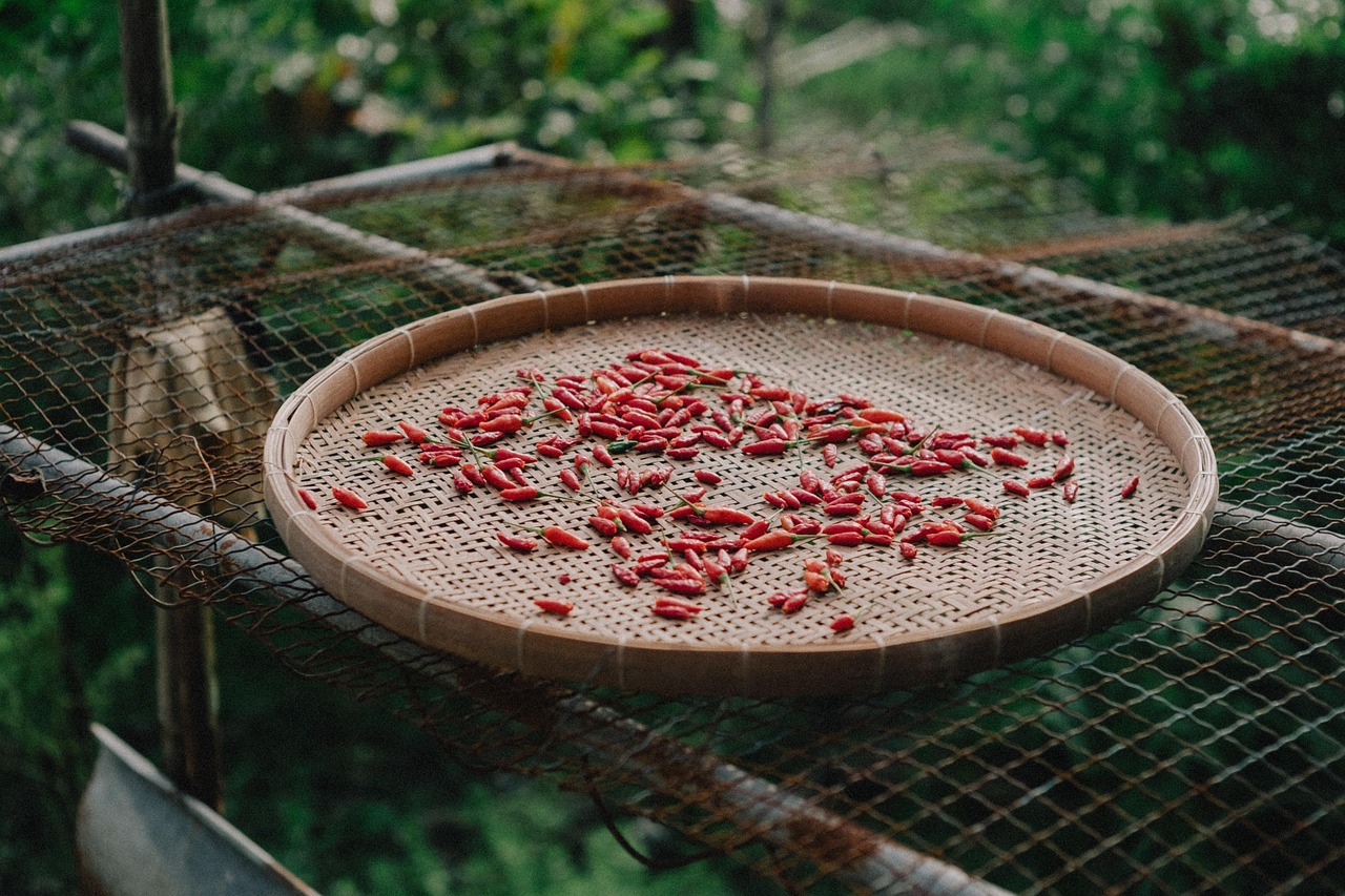 entdecken sie essentielle kochtipps, die ihnen helfen, köstliche gerichte zuzubereiten und ihre kochfähigkeiten zu verbessern. von einfachen techniken bis hin zu kreativen rezeptideen – hier finden sie alles, was sie für ein gelungenes kocherlebnis benötigen.