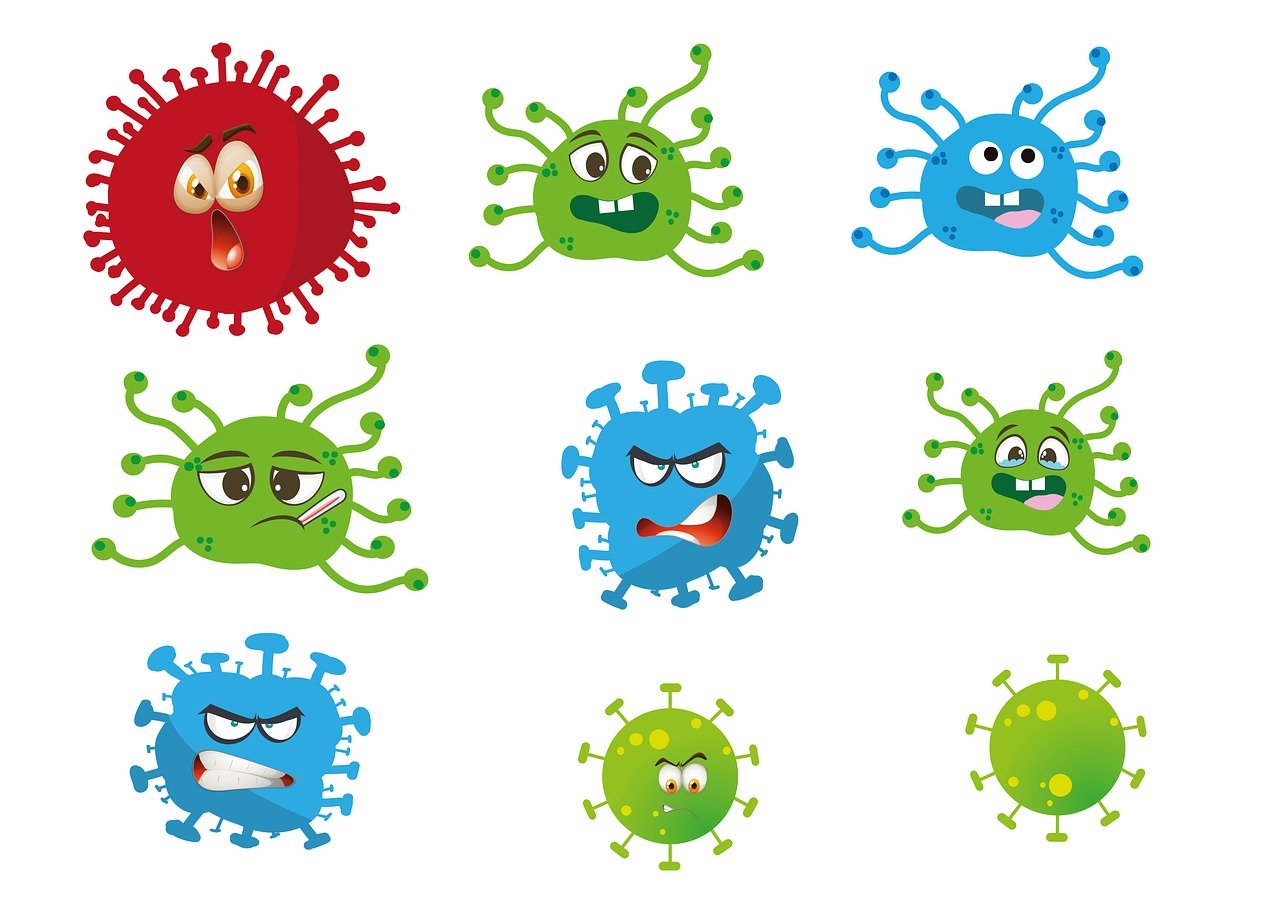 entdecken sie die funktionsweise und bedeutung des immunsystems für ihre gesundheit. erfahren sie, wie ein starkes immunsystem krankheiten abwehren und ihr wohlbefinden steigern kann.