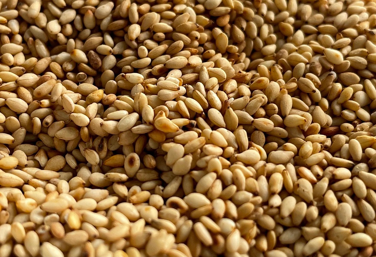 entdecken sie die welt der superfoods! erfahren sie, wie nährstoffreiche superfoods ihre gesundheit unterstützen und neue energie in ihren alltag bringen können. tipps, rezepte und wissenswertes rund um superfoods finden sie hier.